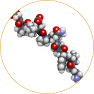 Peptides